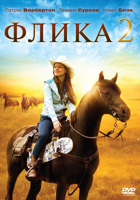 Флика 2 (2010)